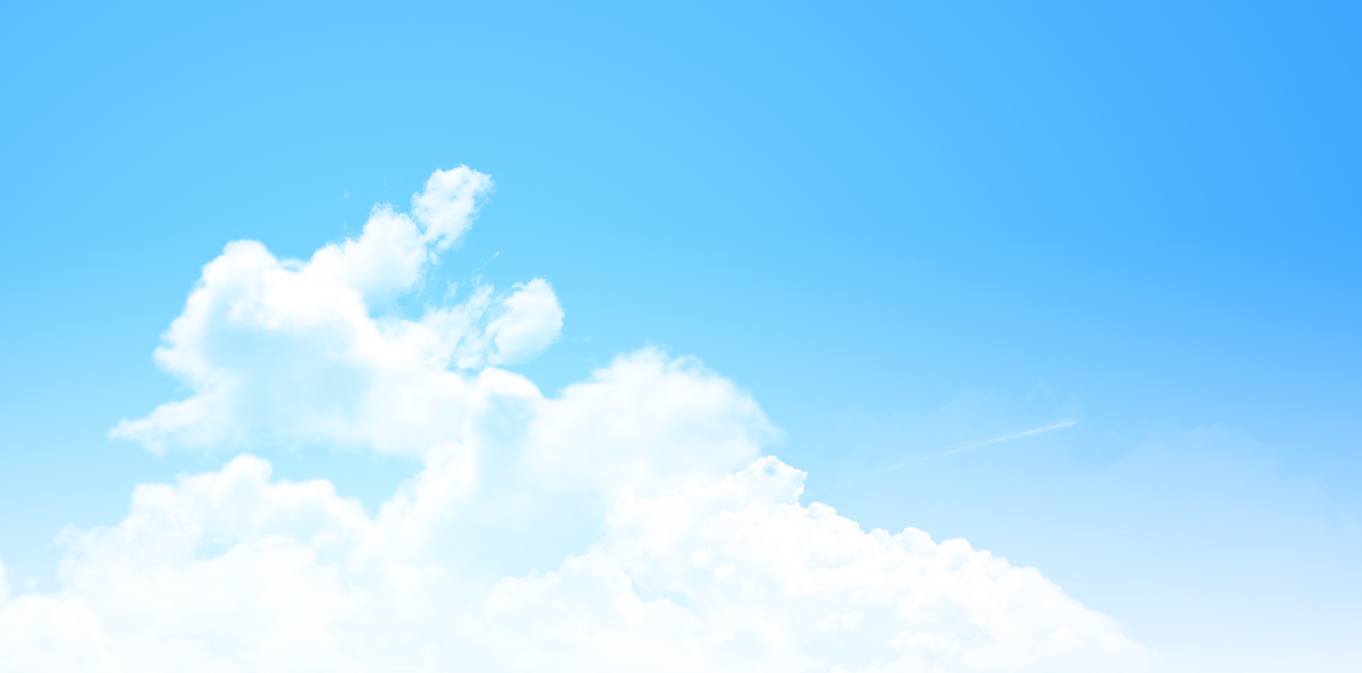 FLIGHT INFORMATION