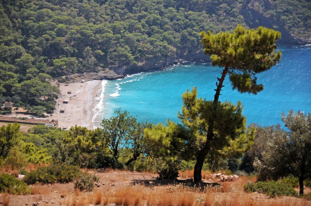 Kabak Koyu Yoga