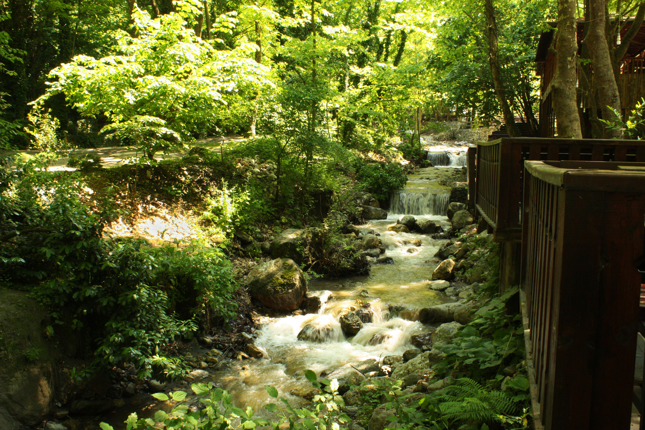 Kartepe kamp alanları. 
