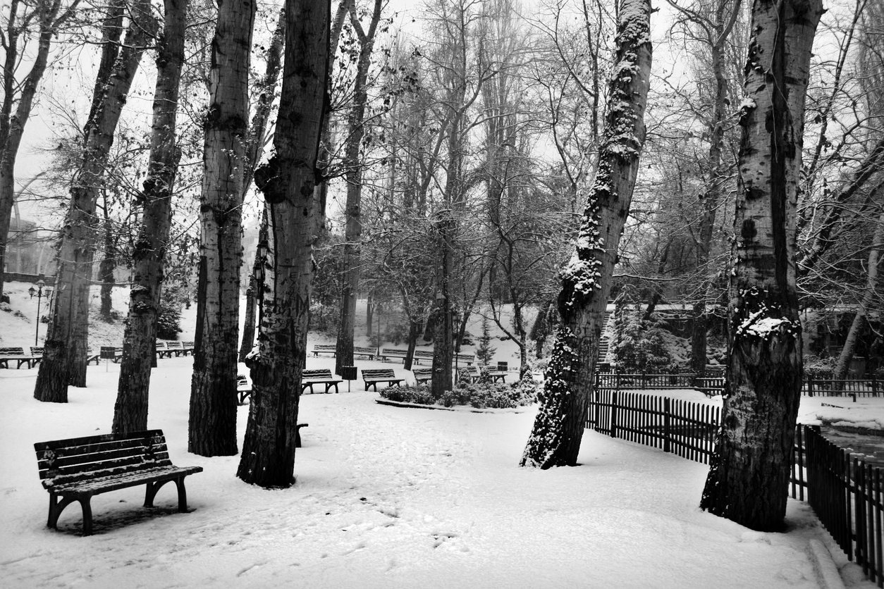 ankara_kugulu_park_kis