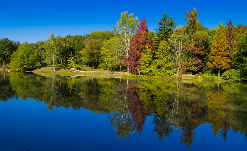 ataturk-arboretumu-sariyer