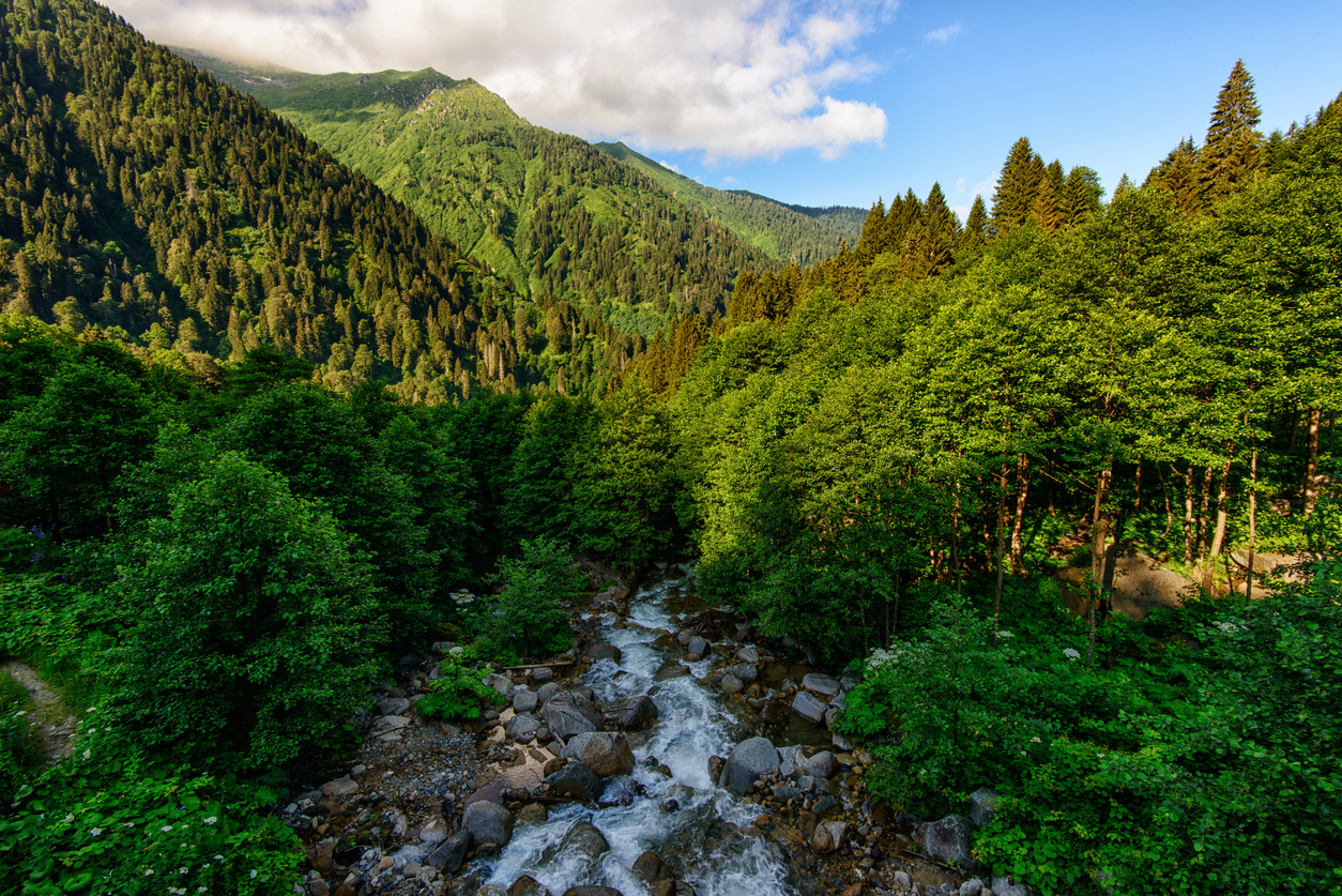 ayder-yaylasi-rize