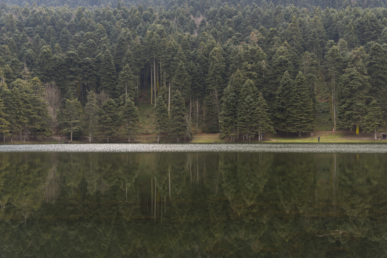 bolu-nun-gezilecek-yerleri-abant-golu