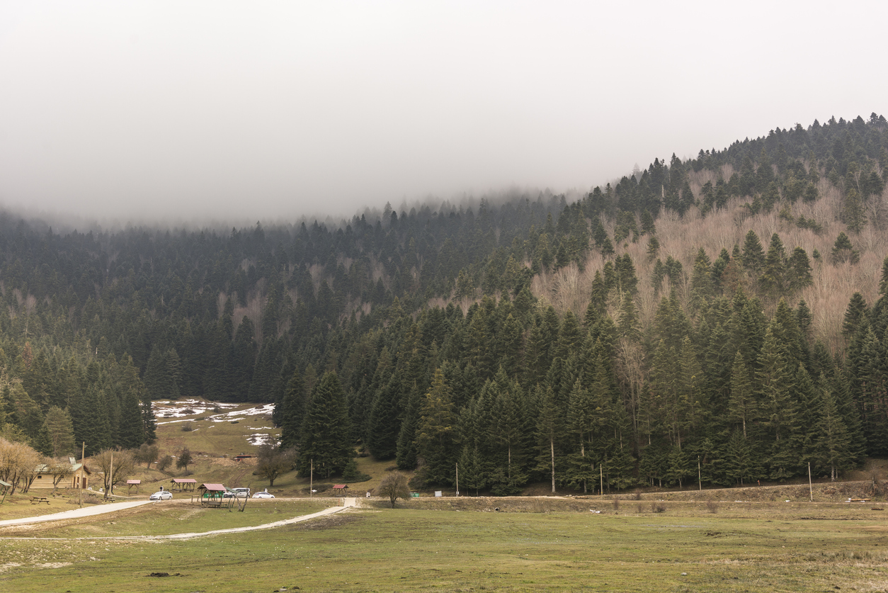 sinekli-yaylasi