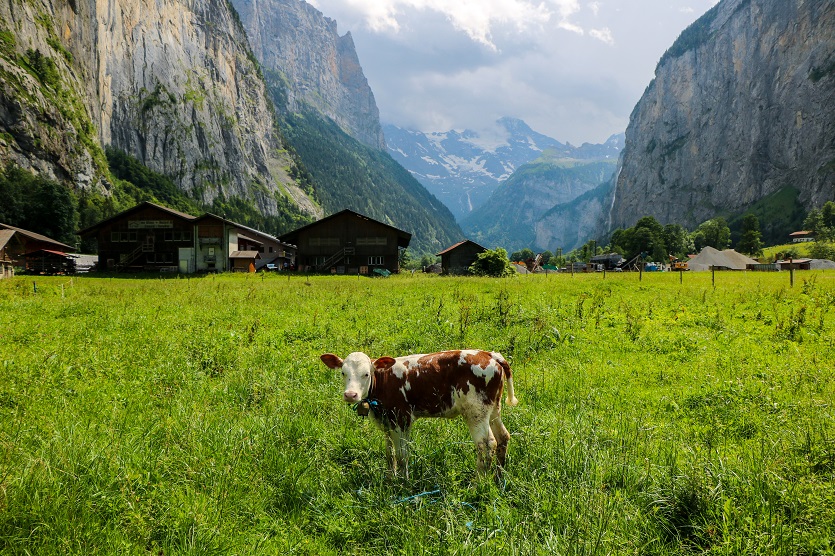 isvicre-nin-kasabalari-wengen