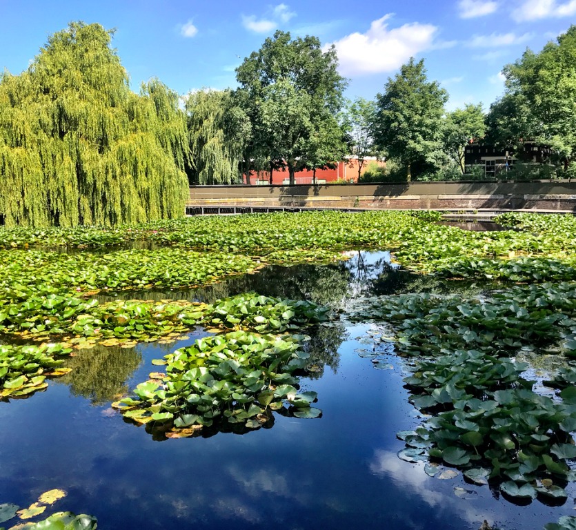 amsterdam-da-eglence-westerpark