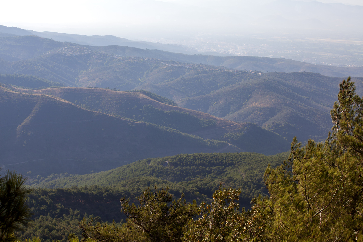 kaz-daglari-nerede