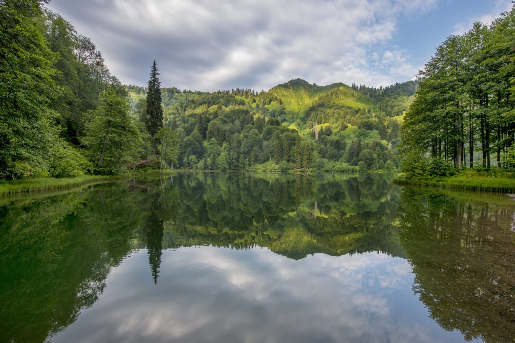 Artvin Borcka