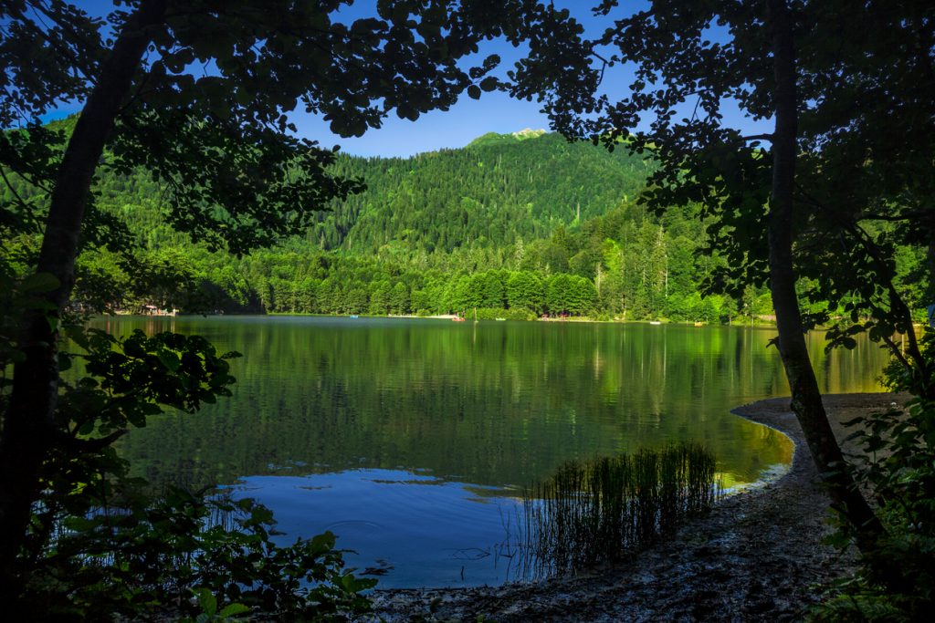 Artvin Borçka Tarihi