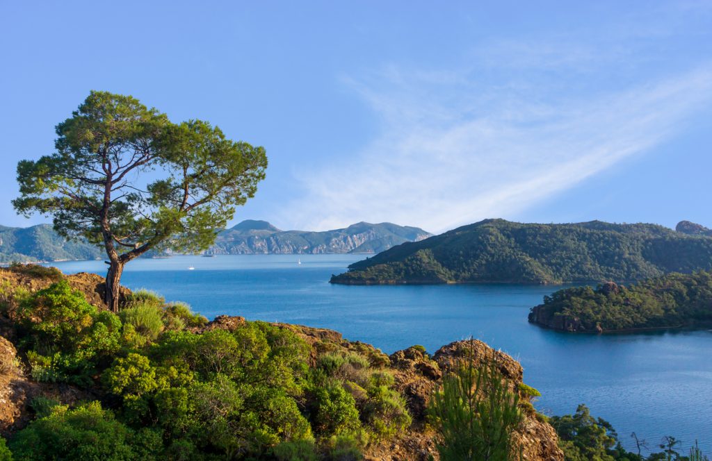 Bördübet Koyu Marmaris