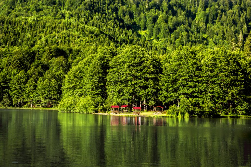Borçka Kamp