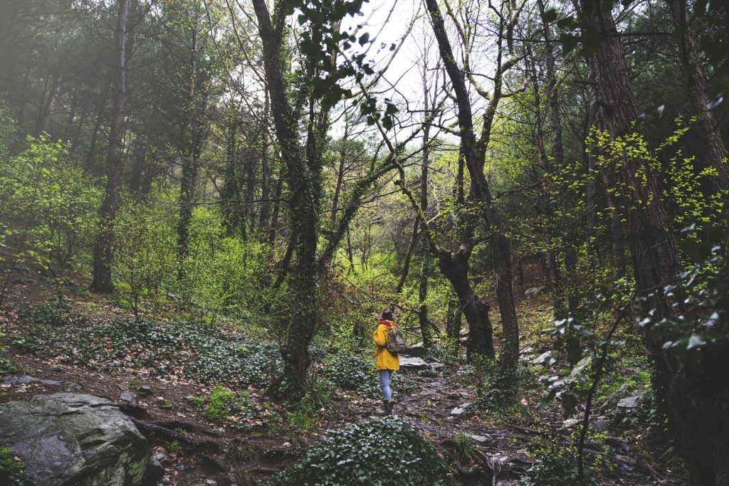Kaz Dağları Trekking