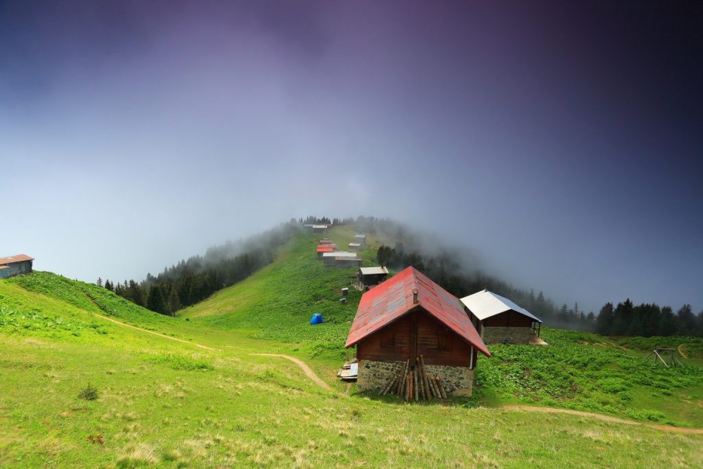 Pokut Yaylası Rize