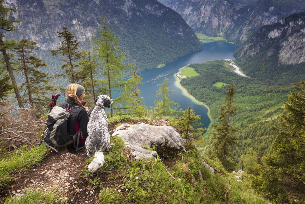 Königssee Almanya Kamp