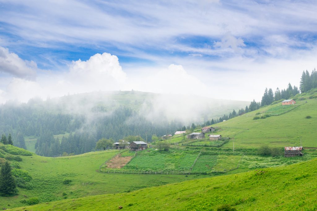 Kümbet Yaylası Giresun