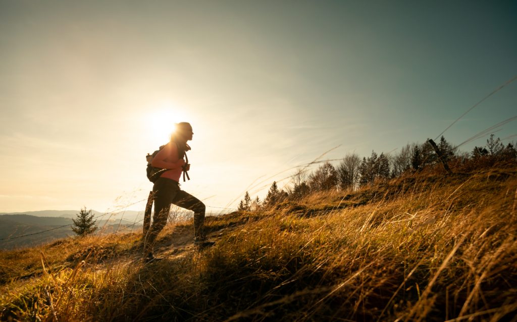 Hiking Nedir