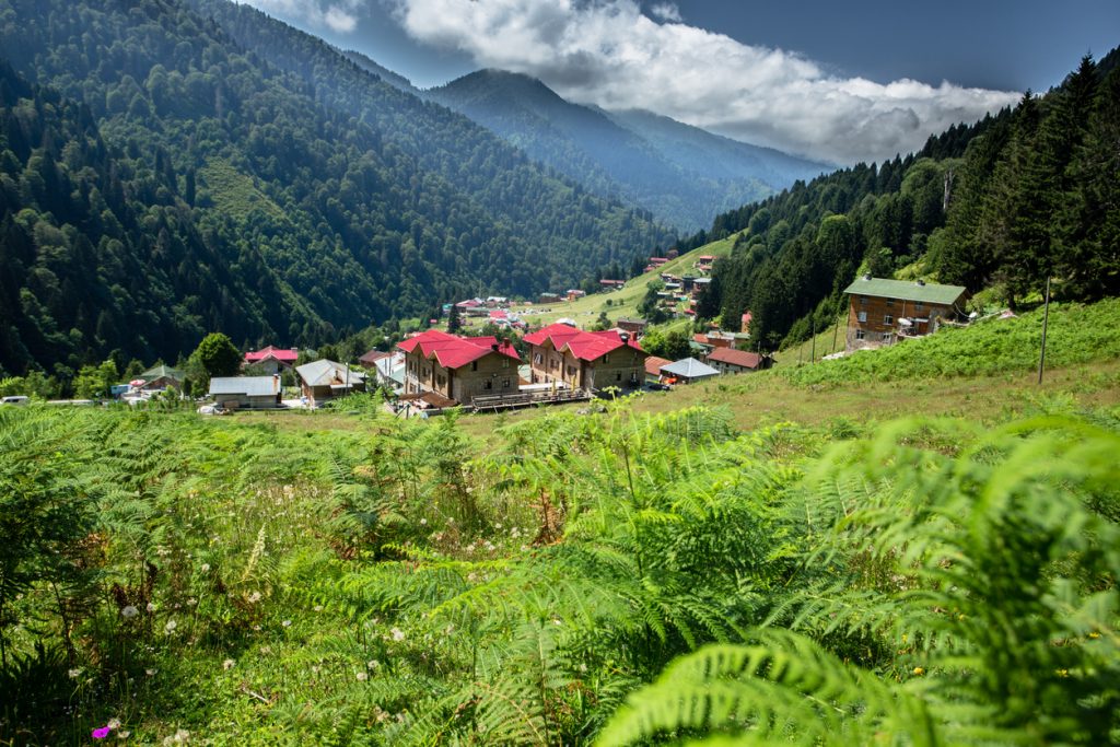 rizenin-yaylalari-ayder-yaylasi