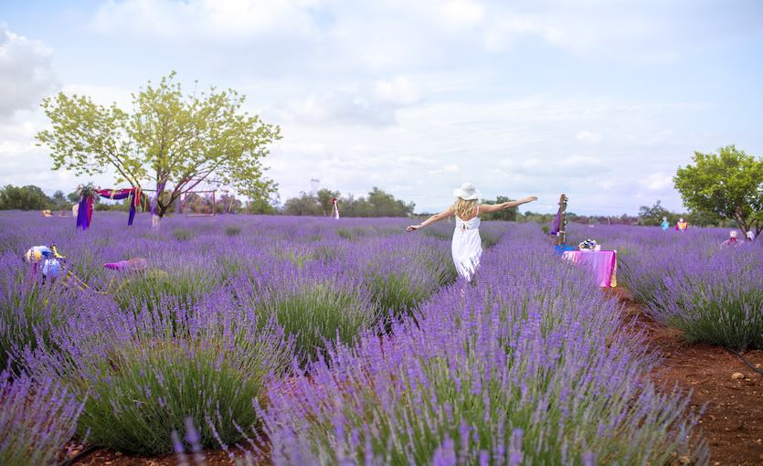 Avrupada baharı yakalayabileceğin duraklar Aix en Provence